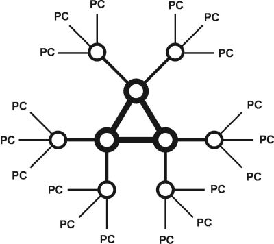 Prosta sieć o rdzeniu trójelementowym. Do każdego węzła znajdującego się w wierzchołku trójkąta dołączone są po dwa peryferyne węzły sieciowe (nadal są to urządzenia DCE), a do tych oststnich po trzy urządzenia końcowe (DTE)